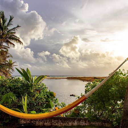 Auberge de jeunesse Casa Coral à Luquillo Extérieur photo