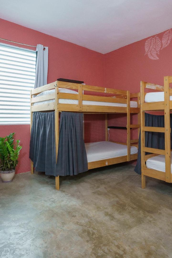 Auberge de jeunesse Casa Coral à Luquillo Extérieur photo